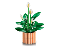 LEGO BOTANICALS 11504 Skrzydłokwiat - 1473410 - zdjęcie 3